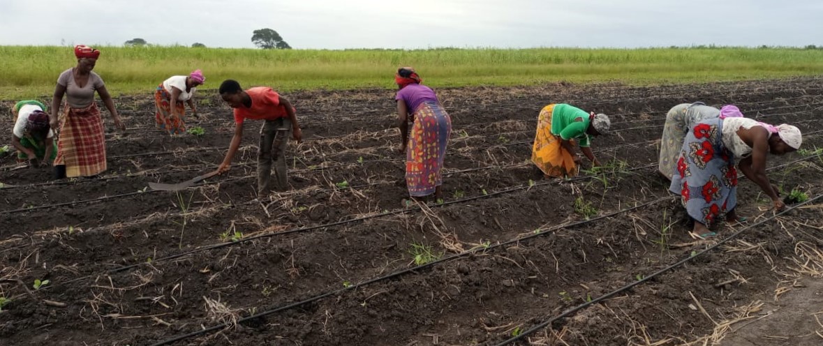 Día de las mujeres rurales