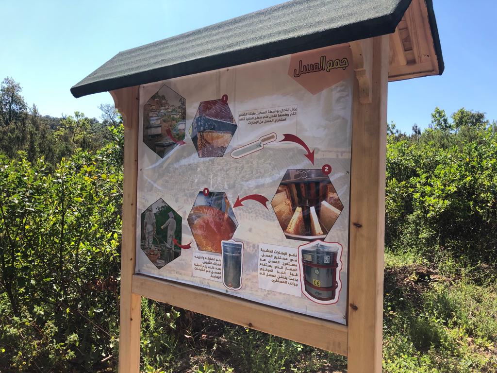 Día de la salud ambiental