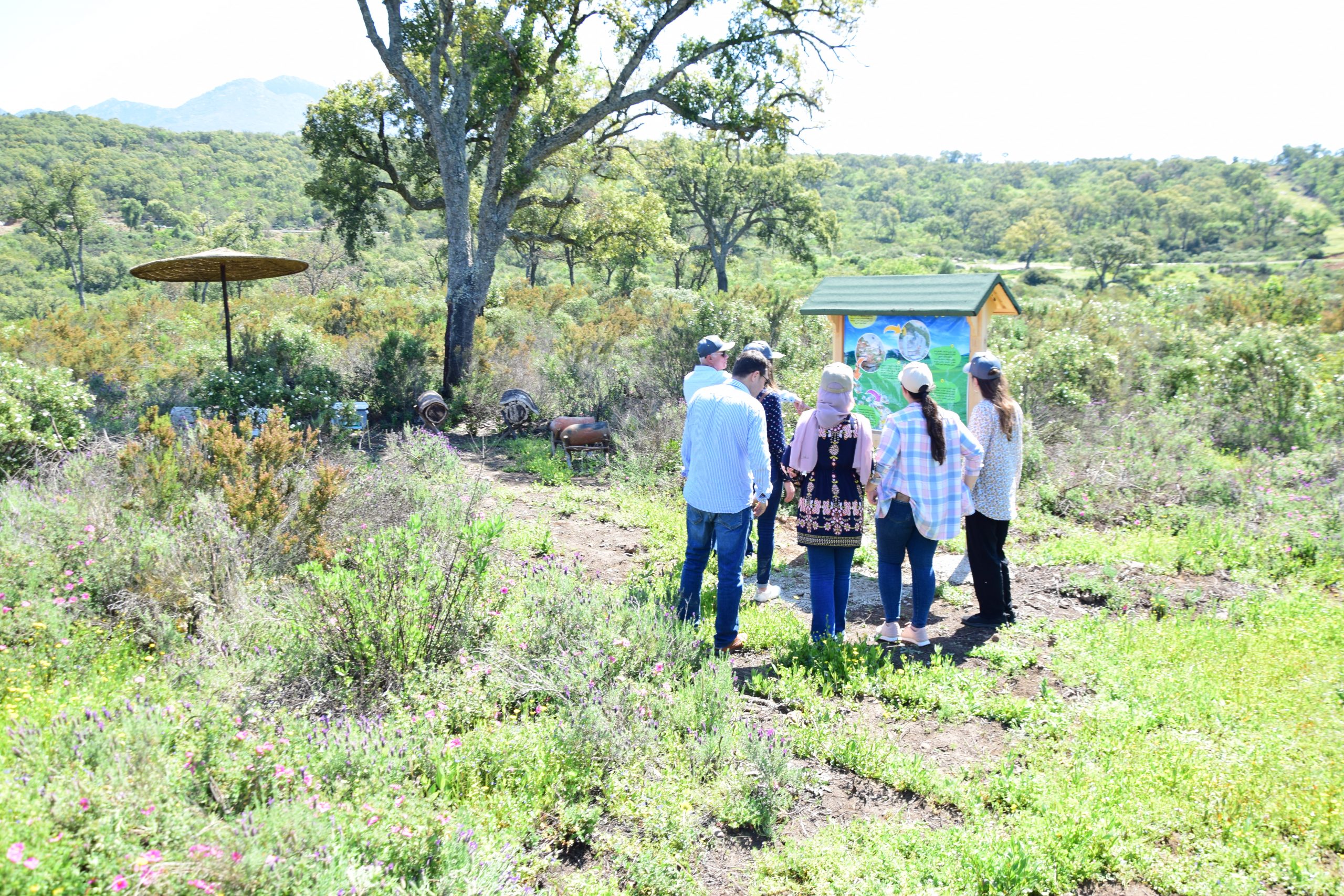 Visita a la Casa de las Abejas en Chefchouen, Marruecos
