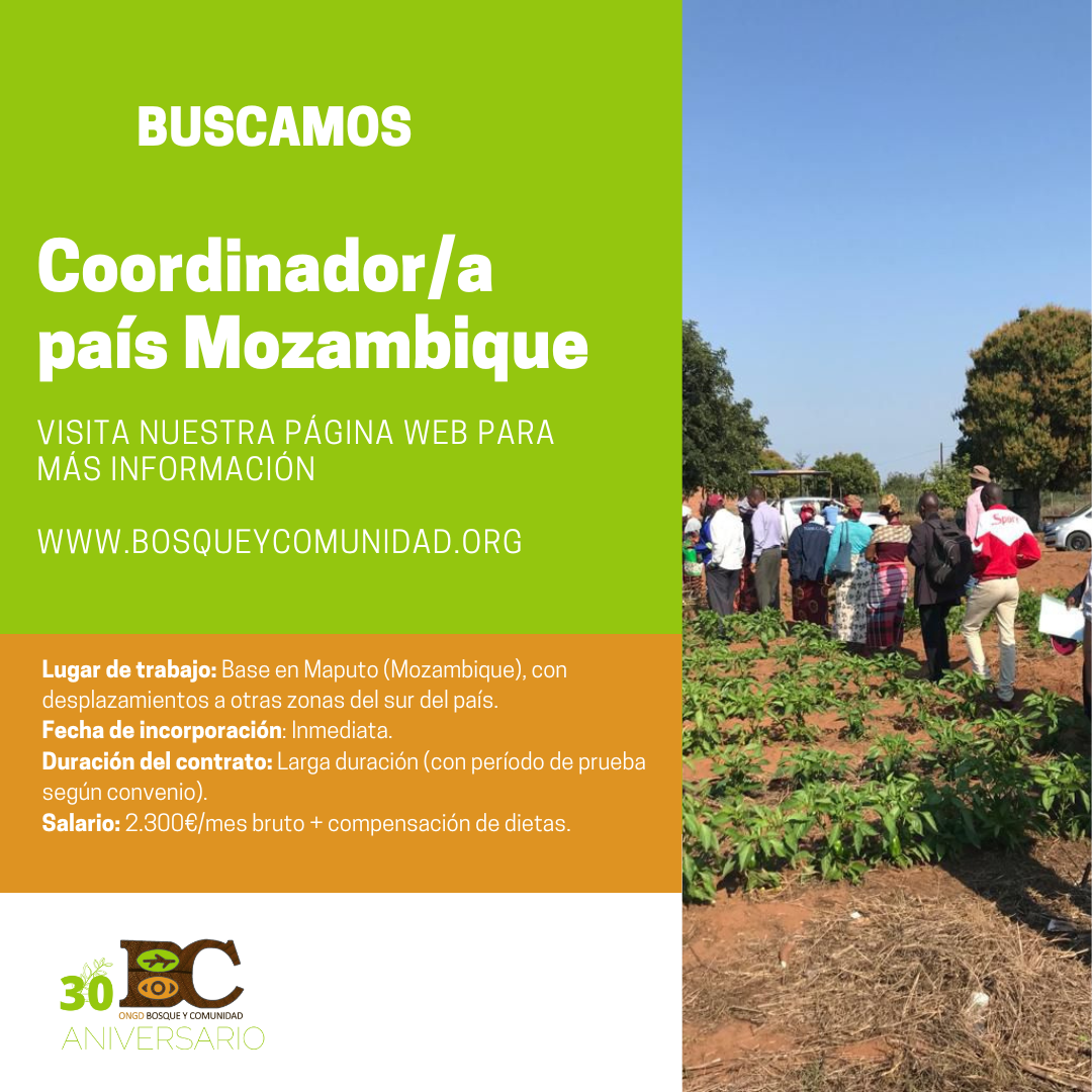 Oferta de trabajo: coordinador/a Mozambique