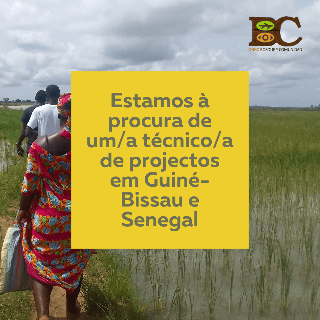 Oferta de trabalho em Guiné-Bissau e Senegal