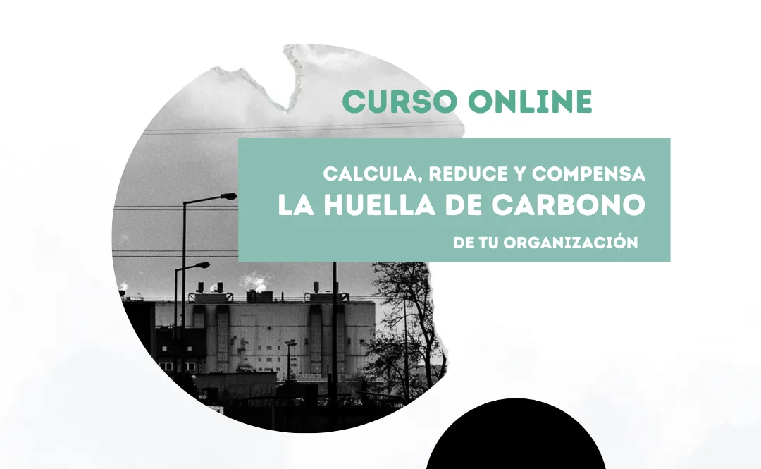 Finalizamos el curso sobre cálculo, reducción y compensación de la huella de carbono en ONGD