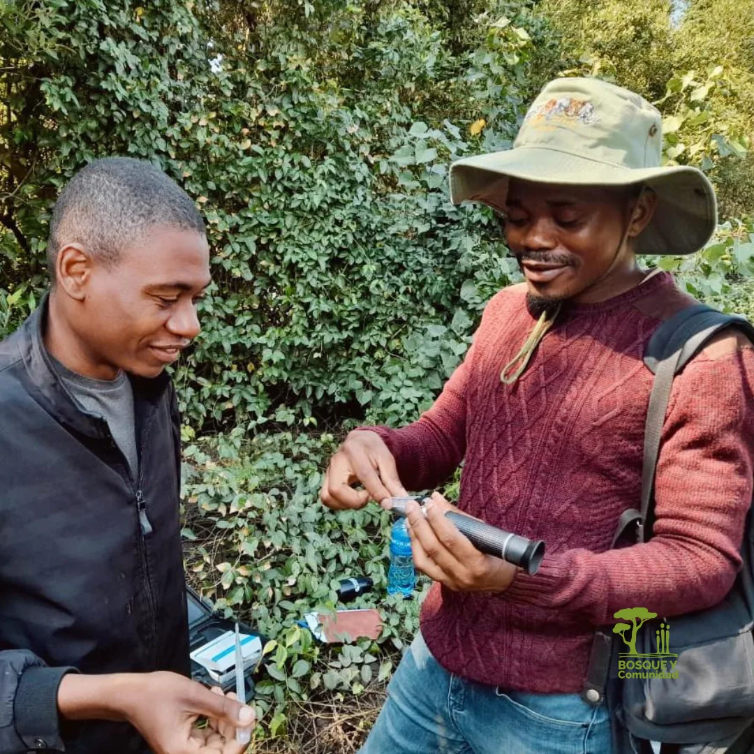 Restauración de manglares en Mozambique: un paso hacia la resiliencia climática