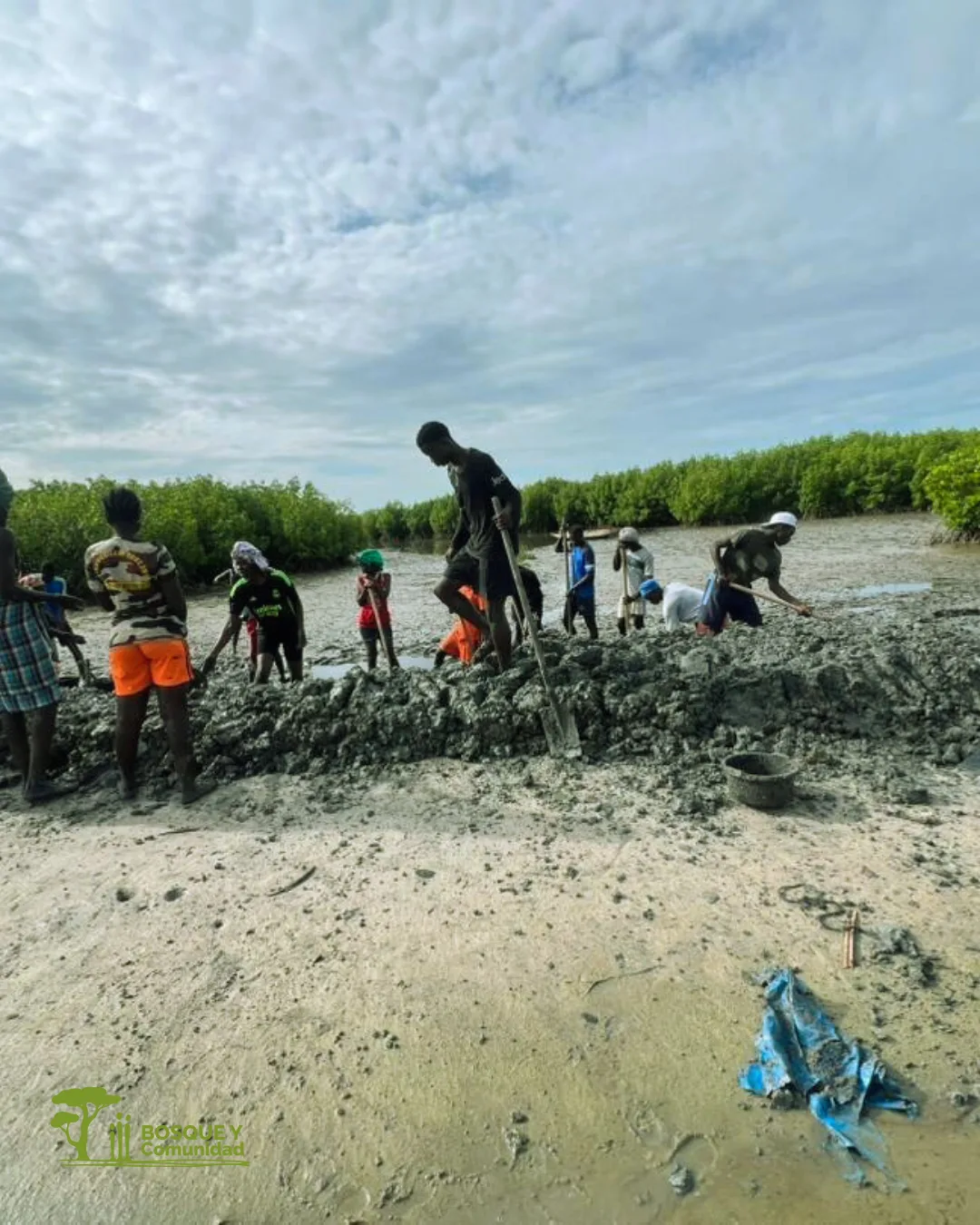 Rehabilitación de los diques antisal en Etama y Bandial