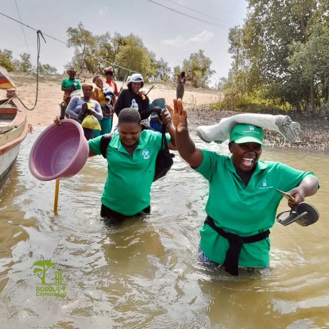 Apicultura sostenible para el desarrollo en Marracuene (Mozambique)