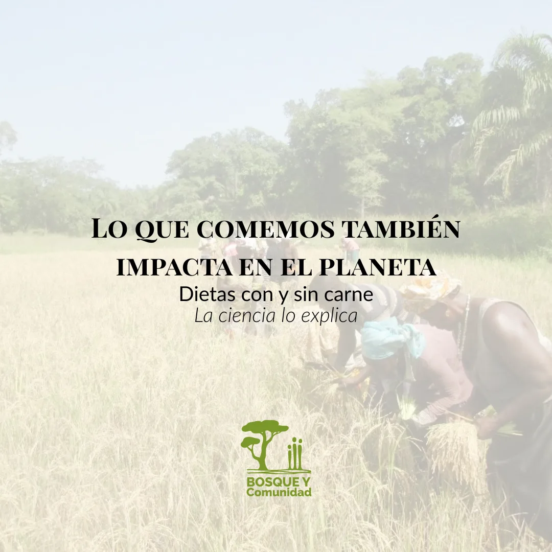 La alimentación también es una decisión ambiental
